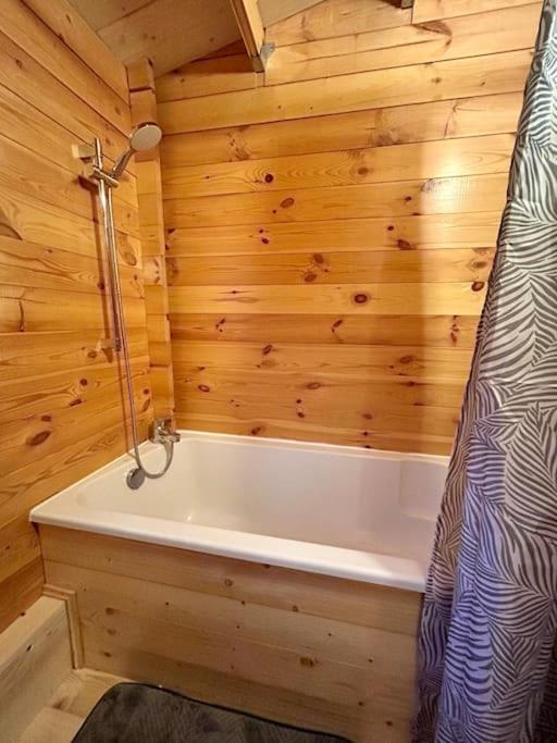 Chalet Bois Jacuzzi بيسان المظهر الخارجي الصورة